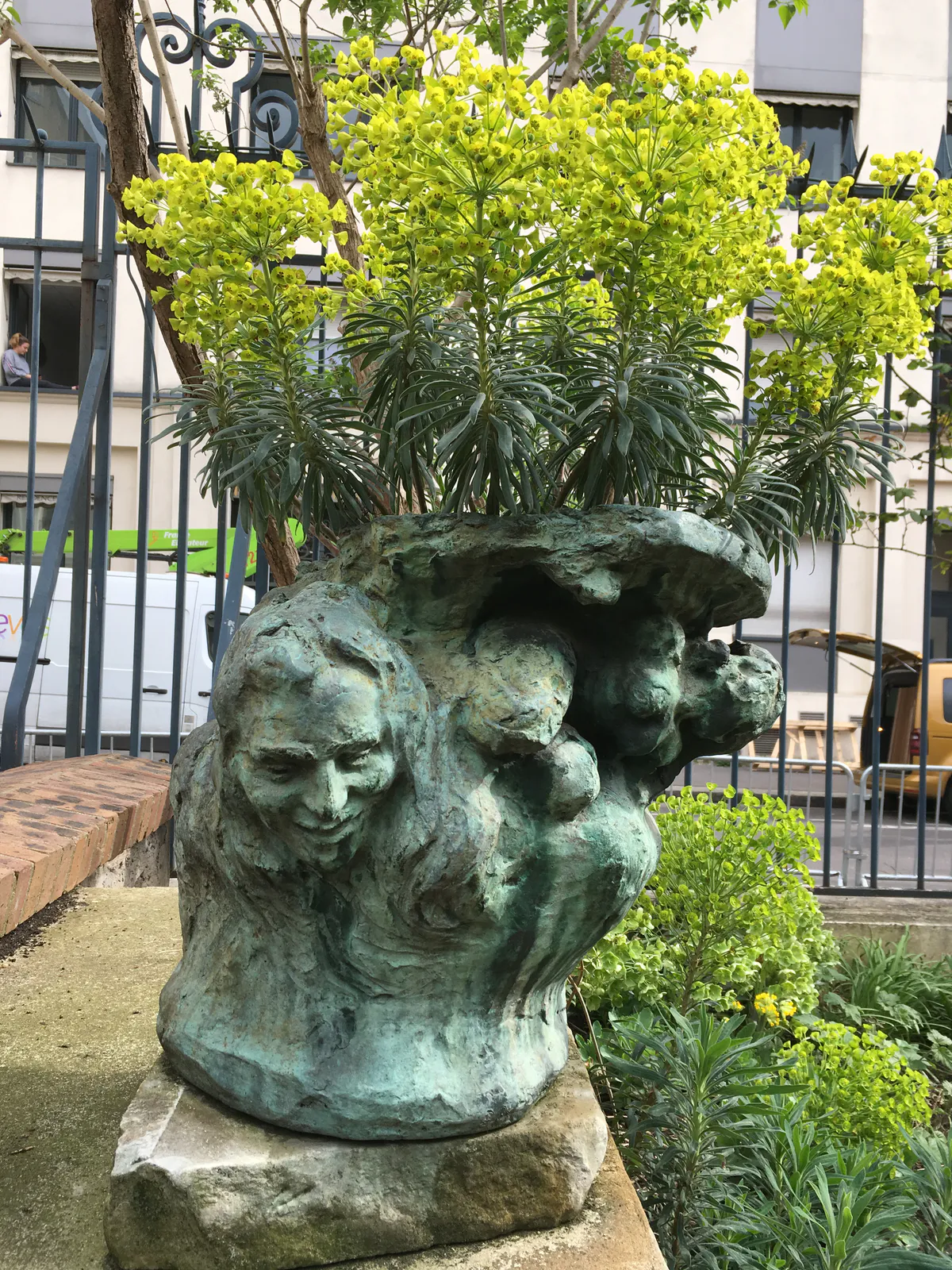 The Basin