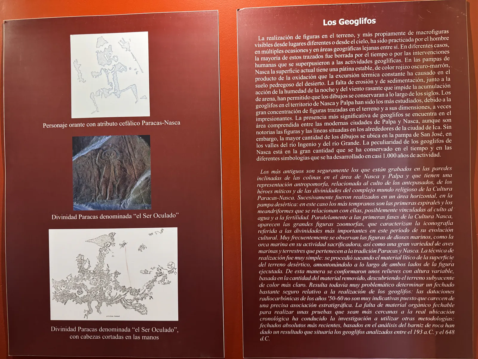 Pampa Galeras National Reserve, Ayacucho