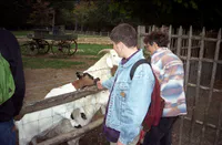 Petting Goats at the Hameau de la Reine
