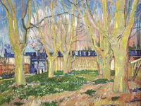 Avenue of Plane Trees Near Arles