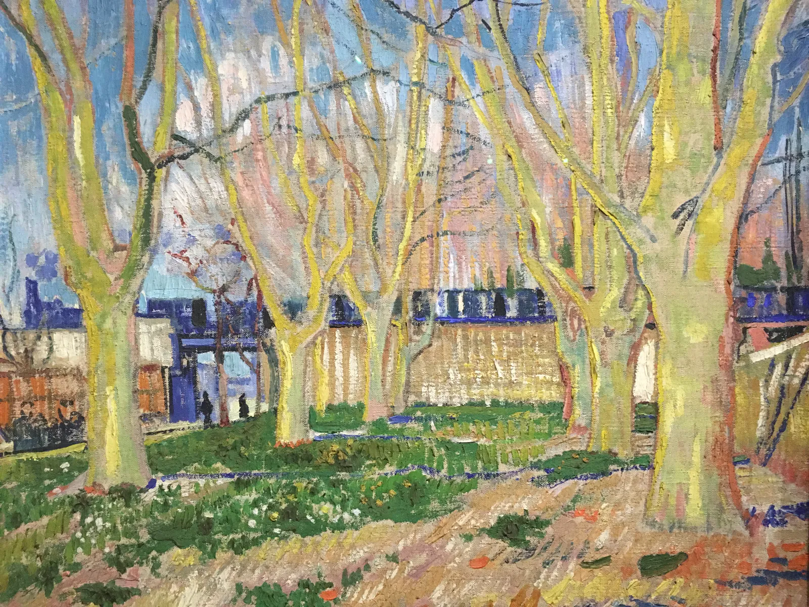 Avenue of Plane Trees Near Arles
