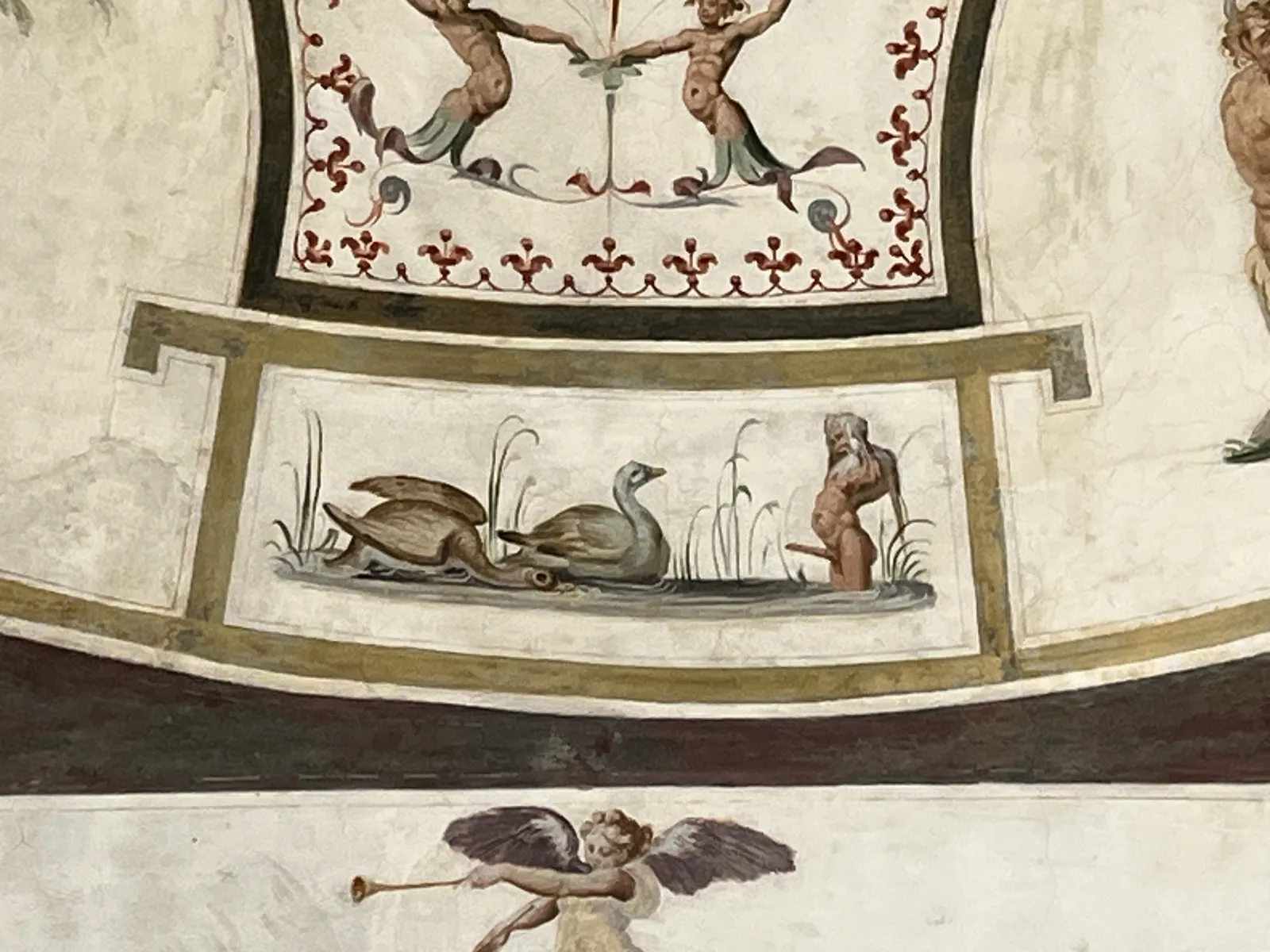 Aquatische Satire mit Schildkröten