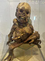 Mummified Infant with Preserved Dentition
