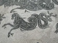 海马（希波坎普）