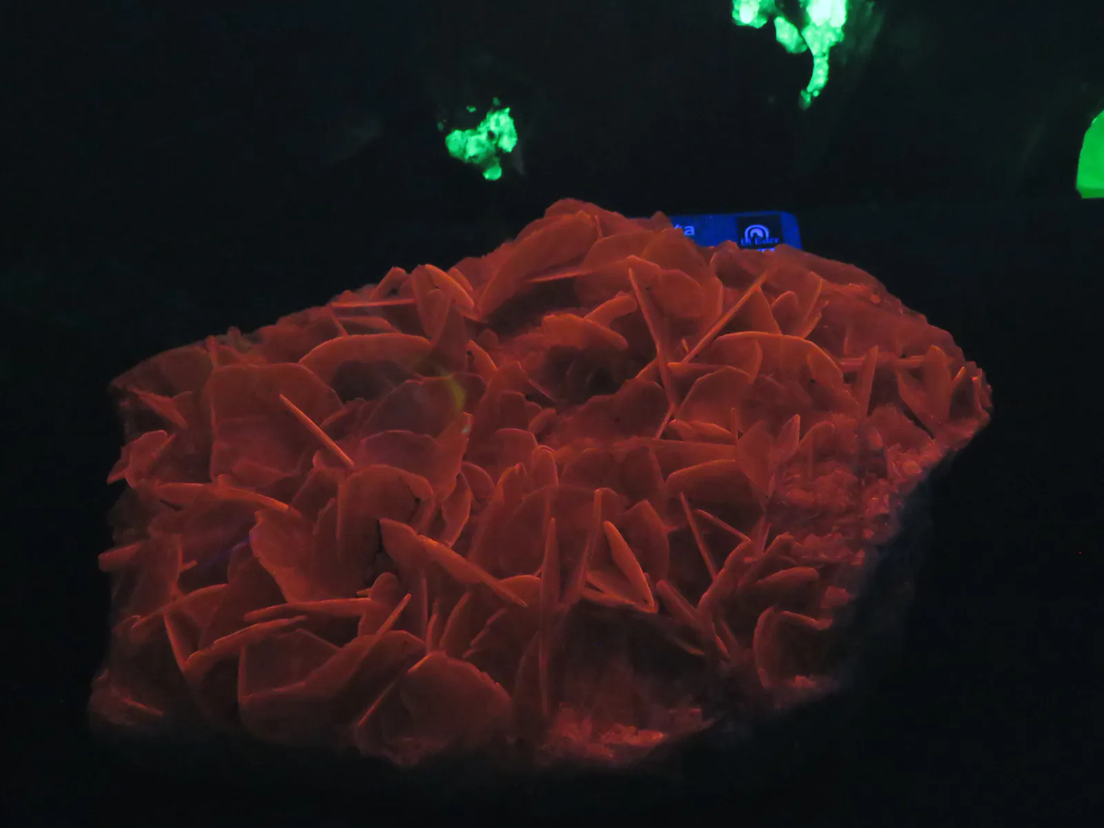 Fluorescent Calcite Mineral