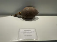 Early Nasca Engraved Gourd Rattle