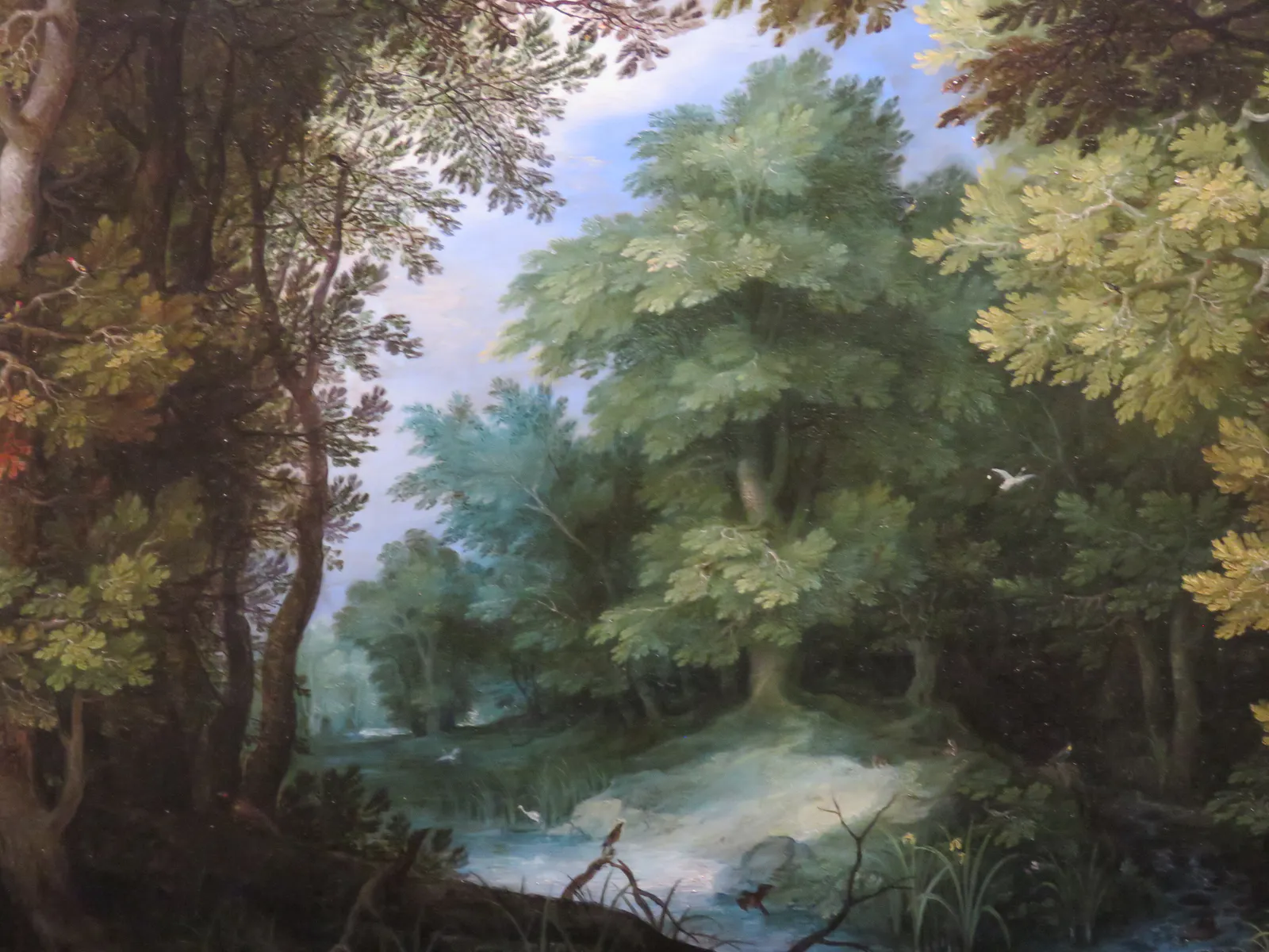 Paisagem de floresta