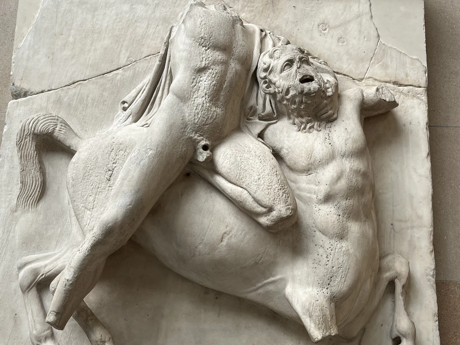 拉庇特战胜半人马