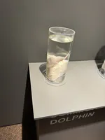 Dolphin Penis