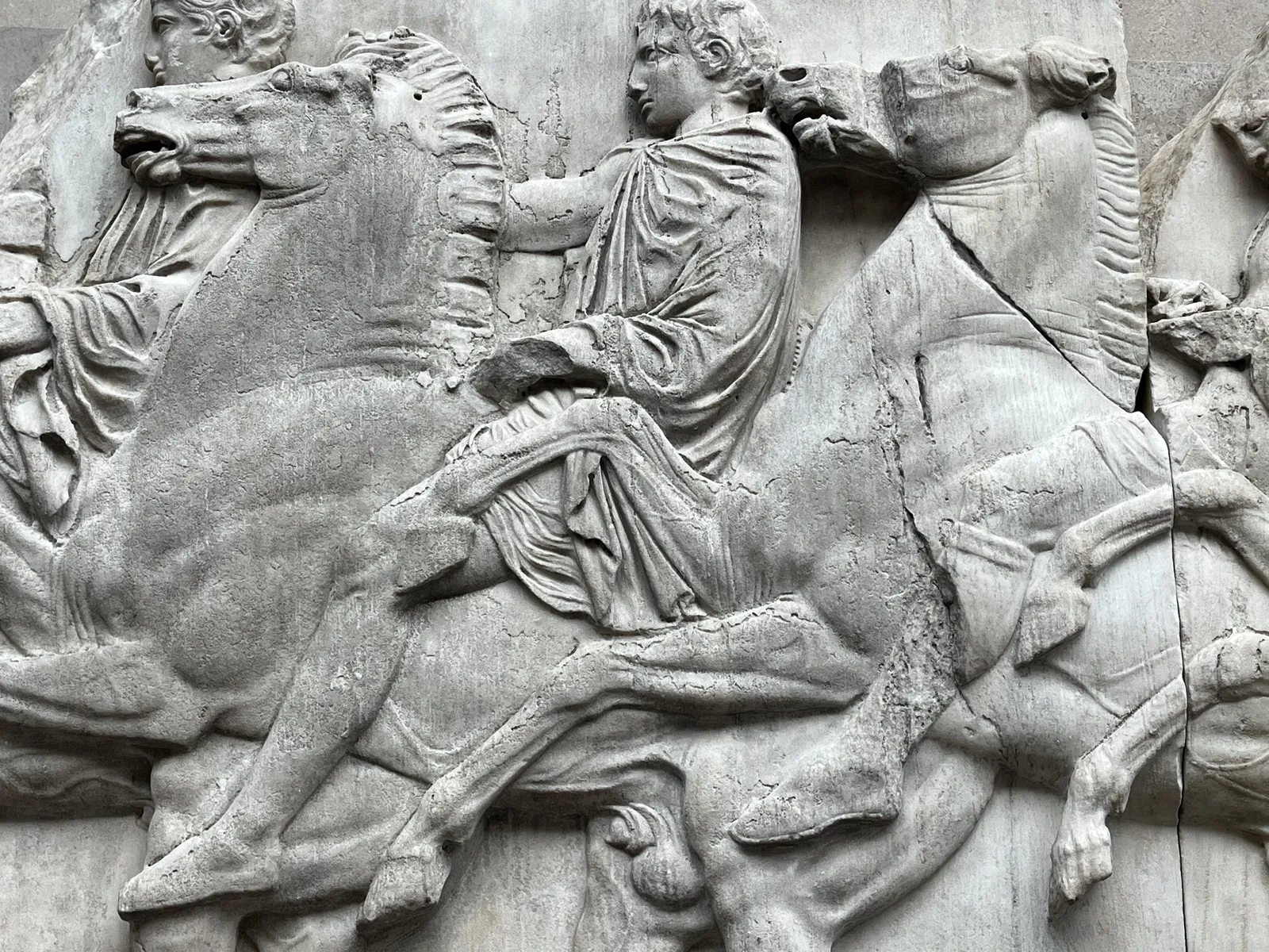 استعراض الفرسان