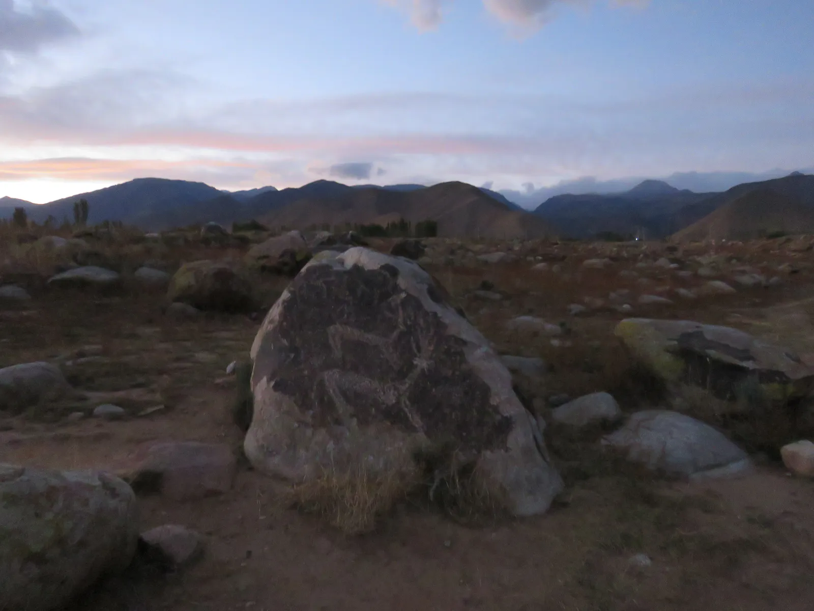 Ibex Petroglyph with Sun Motif