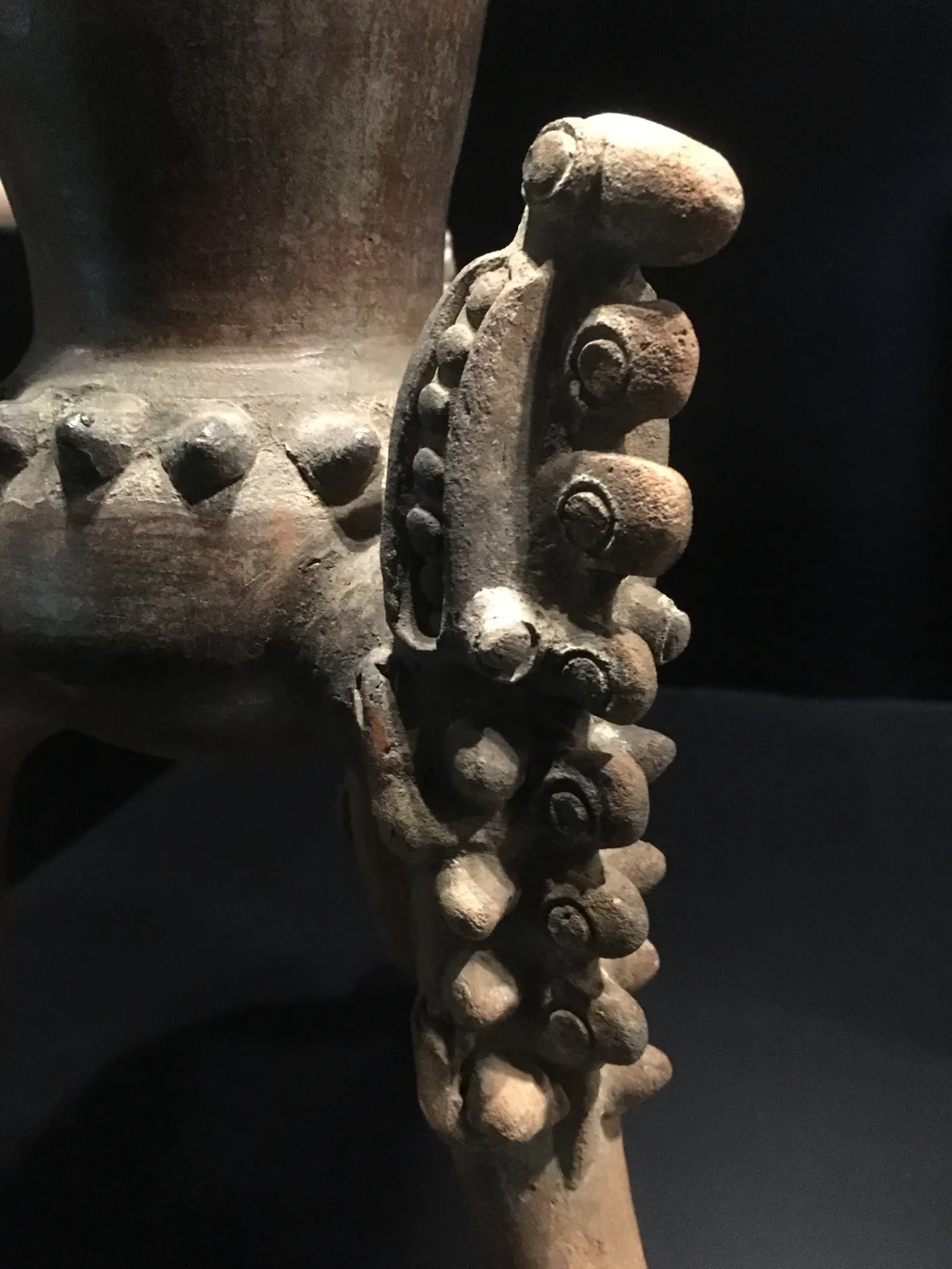 Détail de patte de crocodilien Guanacaste–Nicoya (détail)