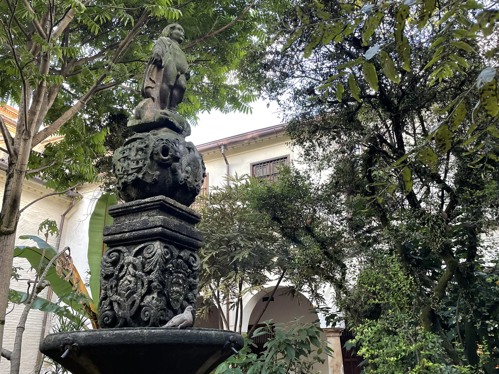 The Monkey of the Fountain