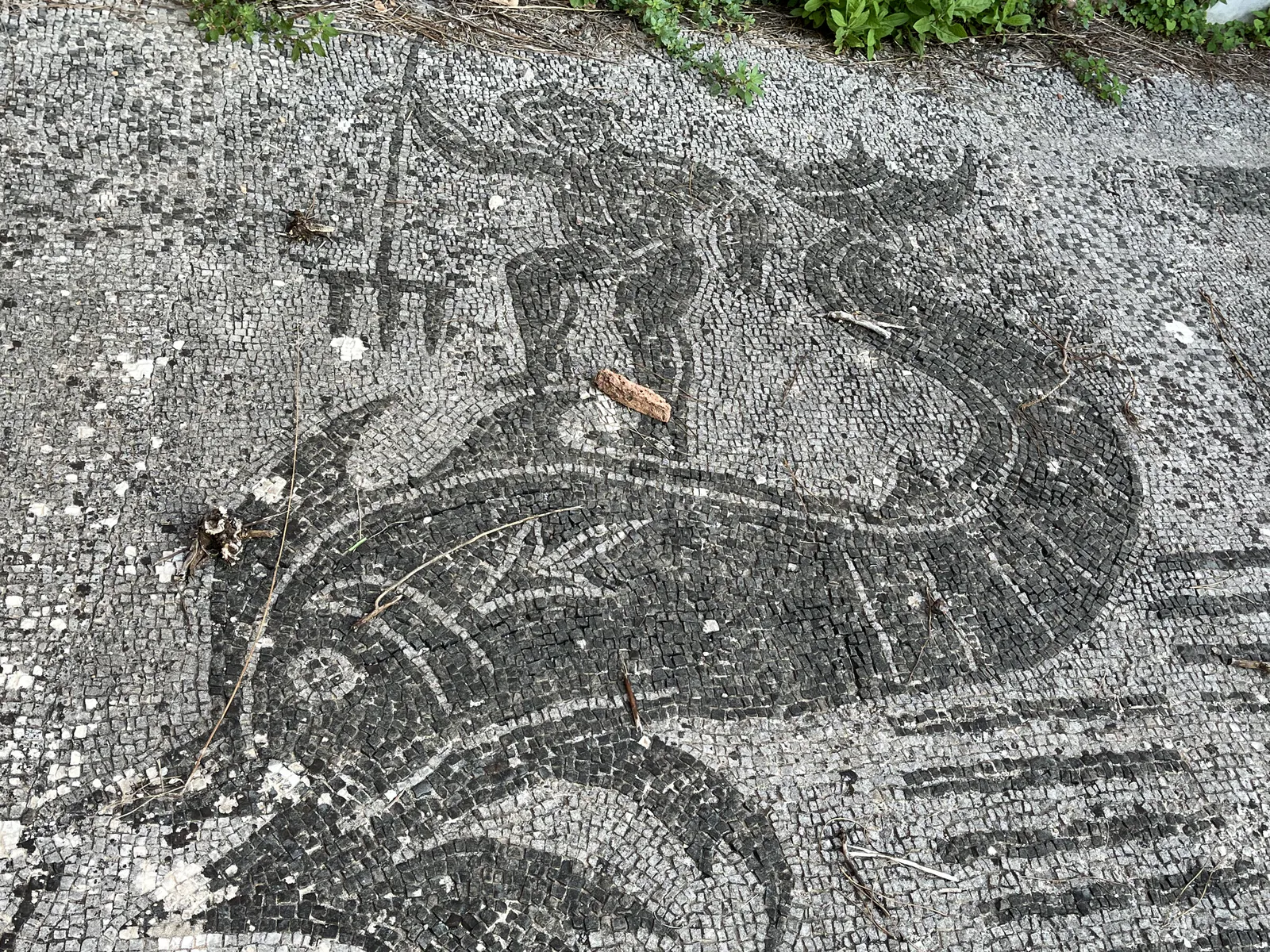 إله بحري على مخلوق بحري