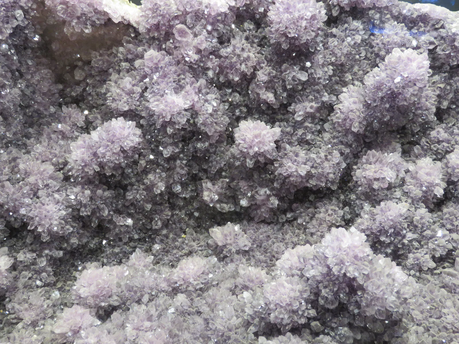 Cluster of Amethyst Crystals