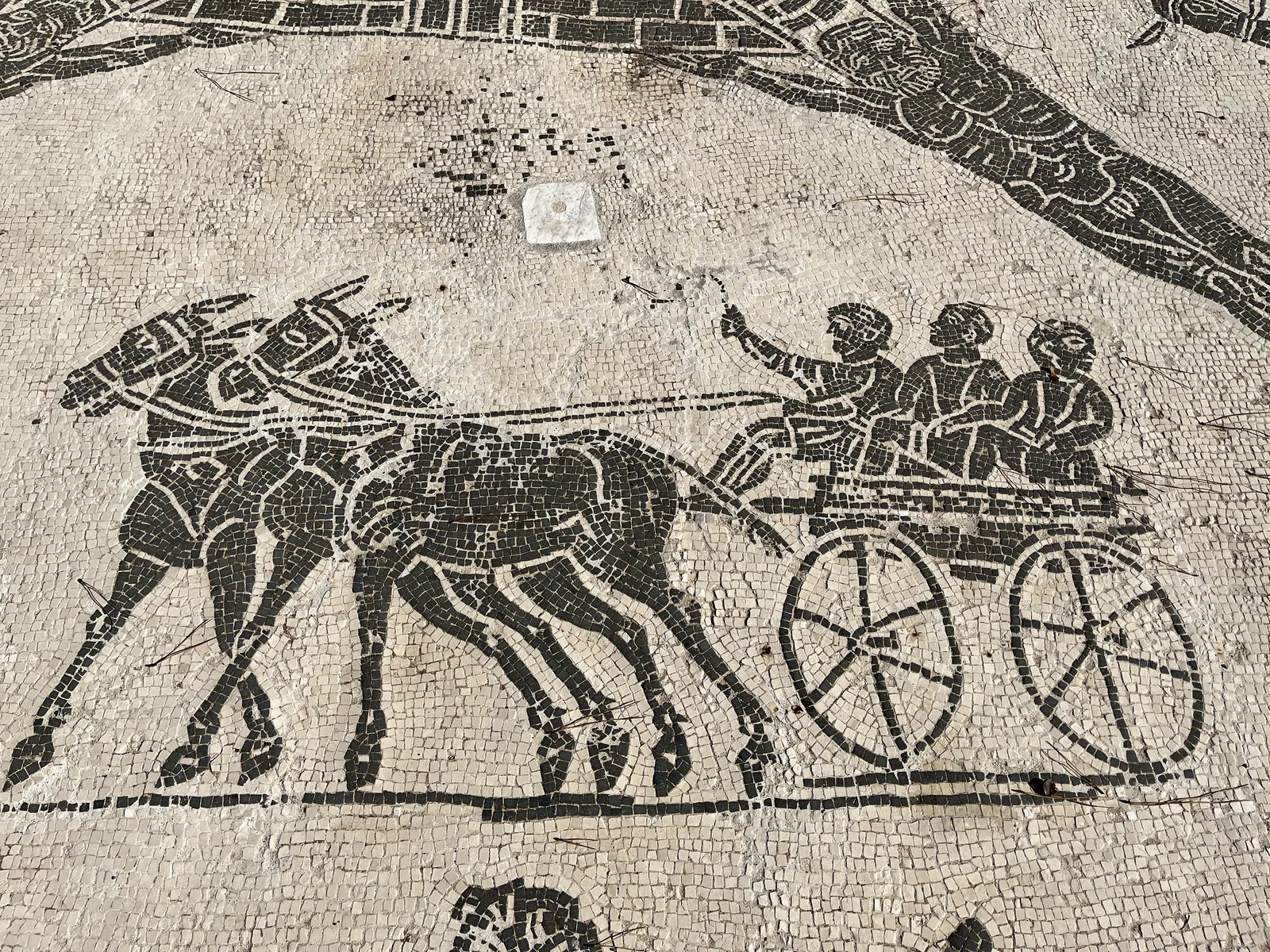 عربة بغل مع ركاب