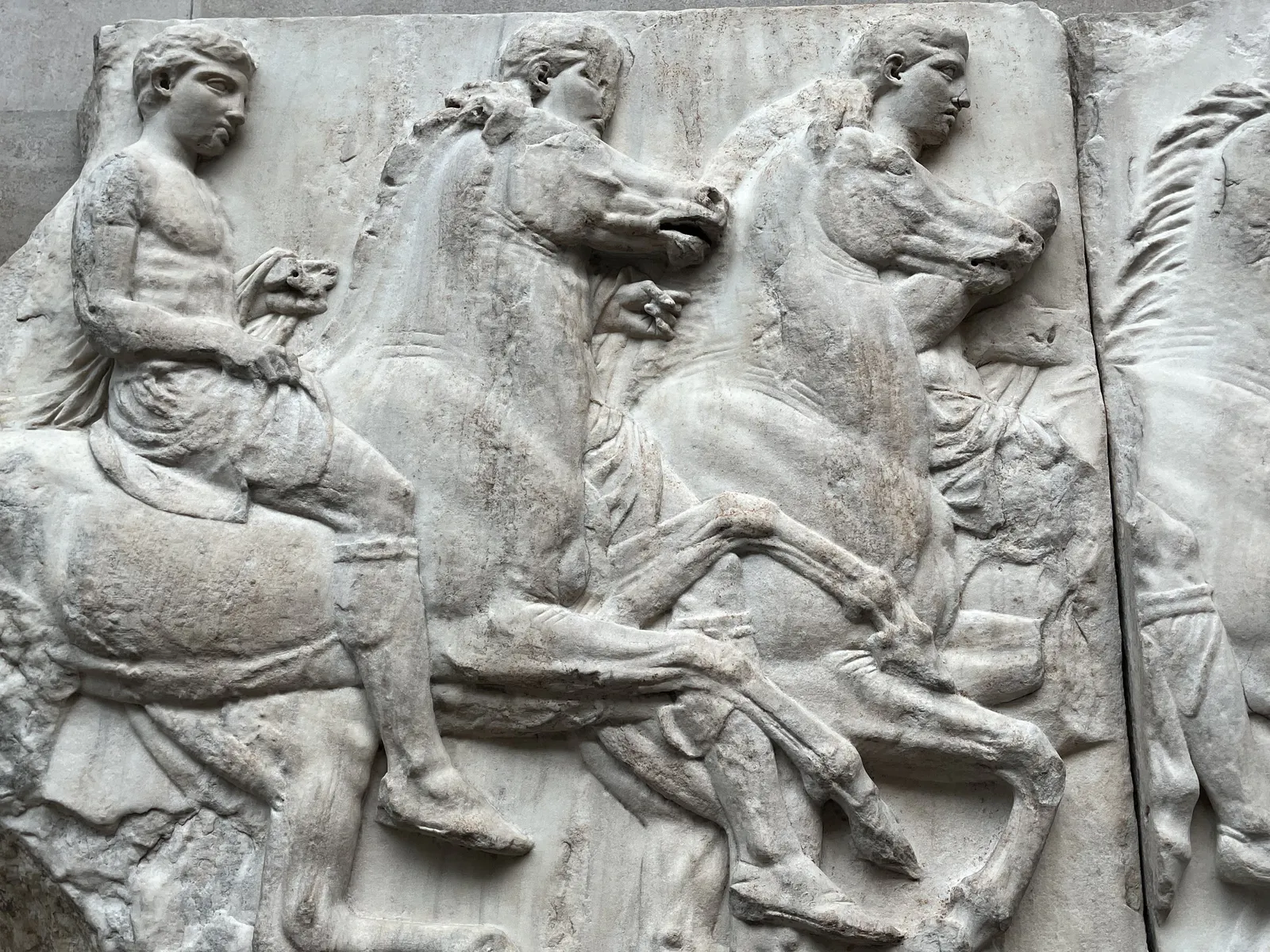 فرسان على صهوات الخيل