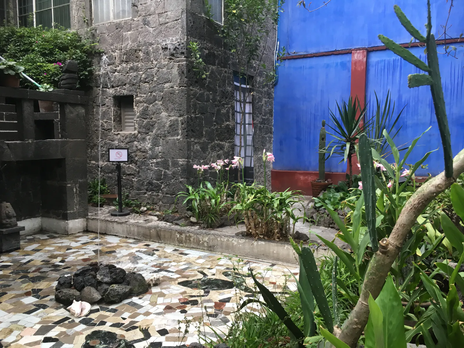 حديقة فريدا