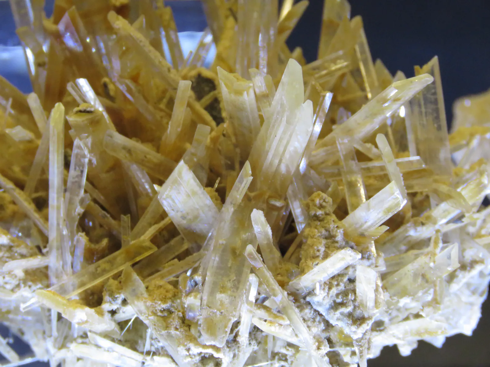 Selenite Gypsum Crystal Formation