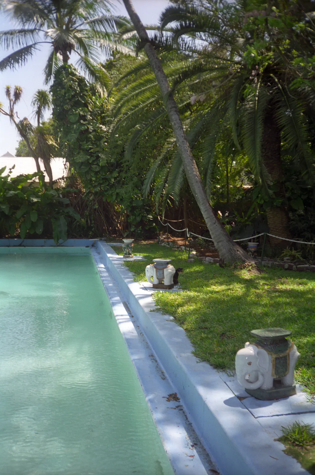 Hemingway’s Pool and Garden
