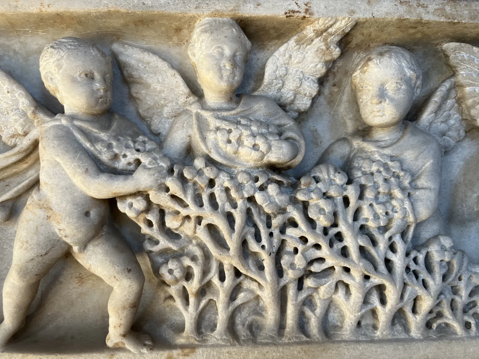 꽃을 모으는 푸티들