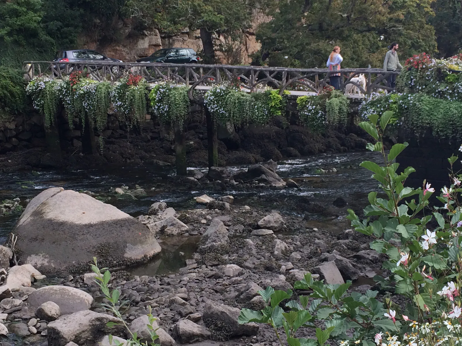 퐁 데 카름(Pont des Carmes)