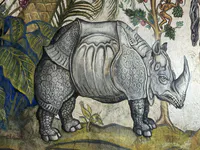 Fantastical Rhinoceros