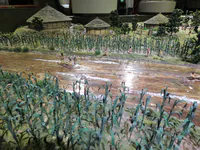 Diquís Agricultural and River Life