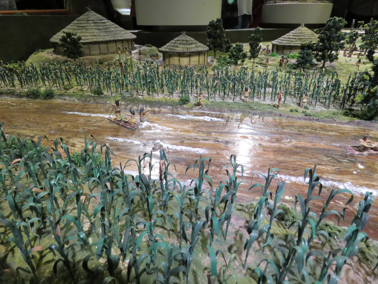 Diquís Agricultural and River Life