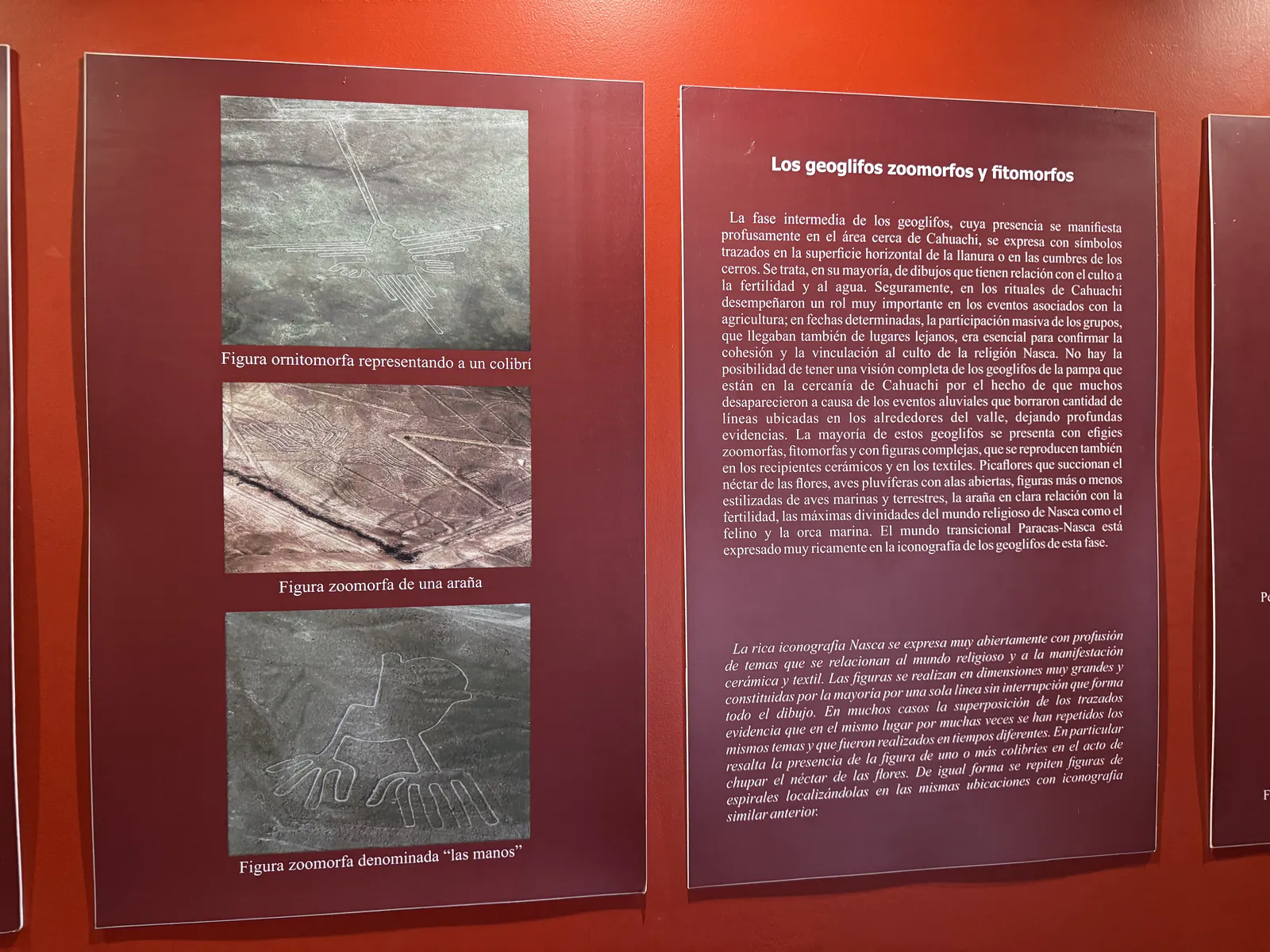 Nasca Geoglyphs and Religious Iconography