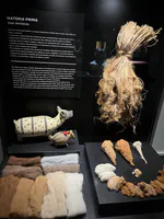 Importance of Fiber in Textile Work