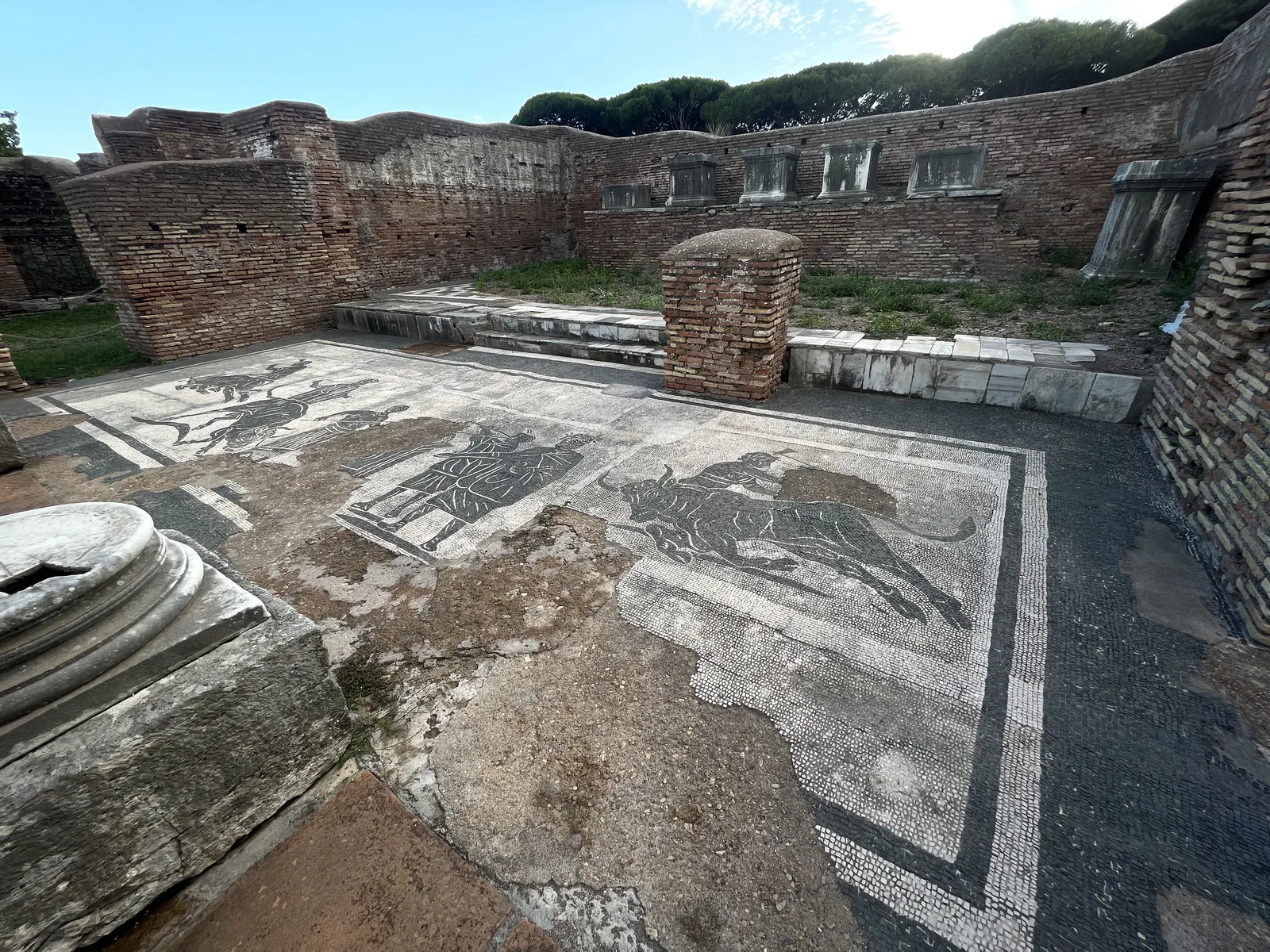 雄牛のいけにえ