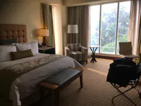 Morning Light in a San José Suite