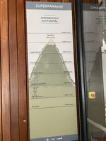 Altitudinal Ecosystems of Colombia