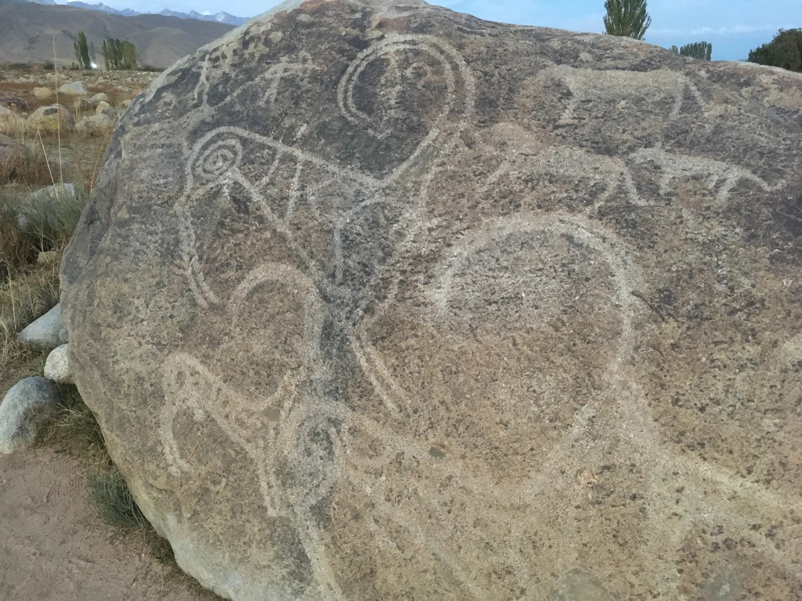 Sacred Ibex and Leopard Hunt