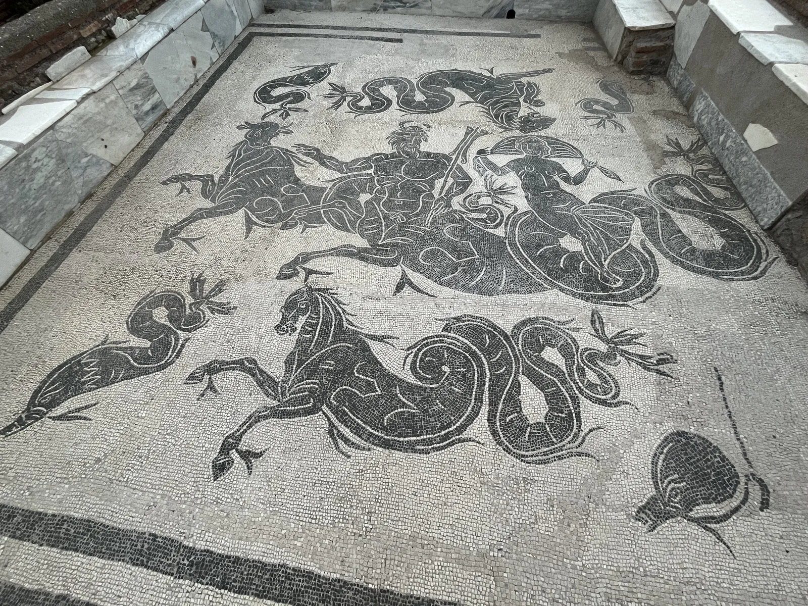 Морской тиа́с