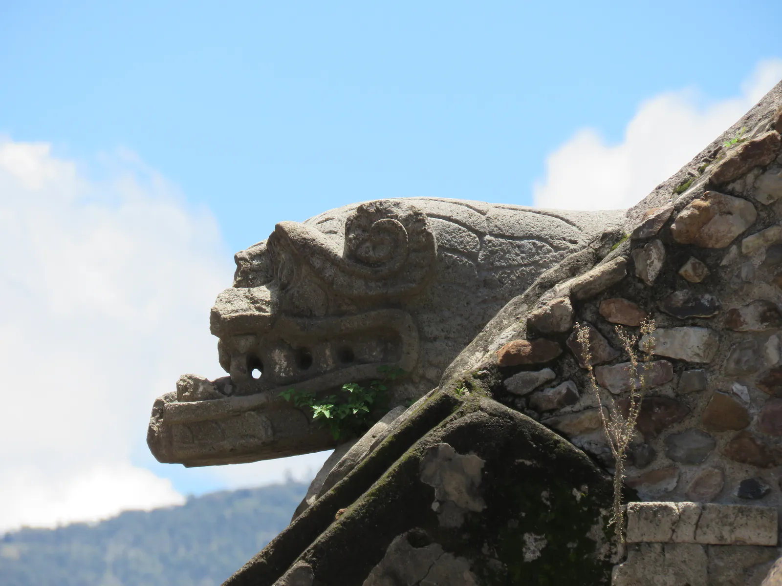 Tête du Serpent à Plumes de profil