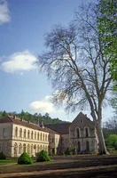 Romanesque Church and Convent Buildings