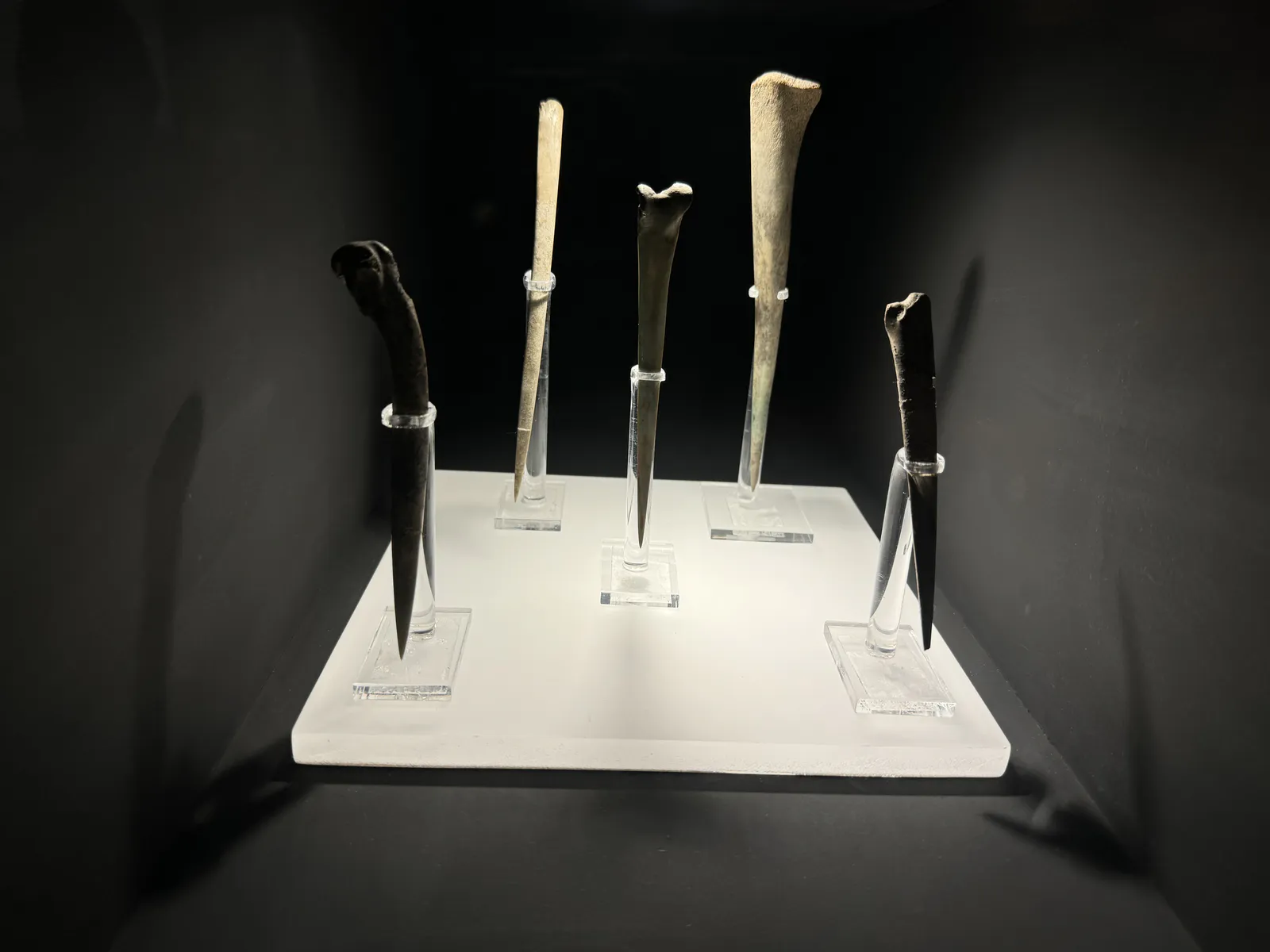 Bone Bloodletting Awls