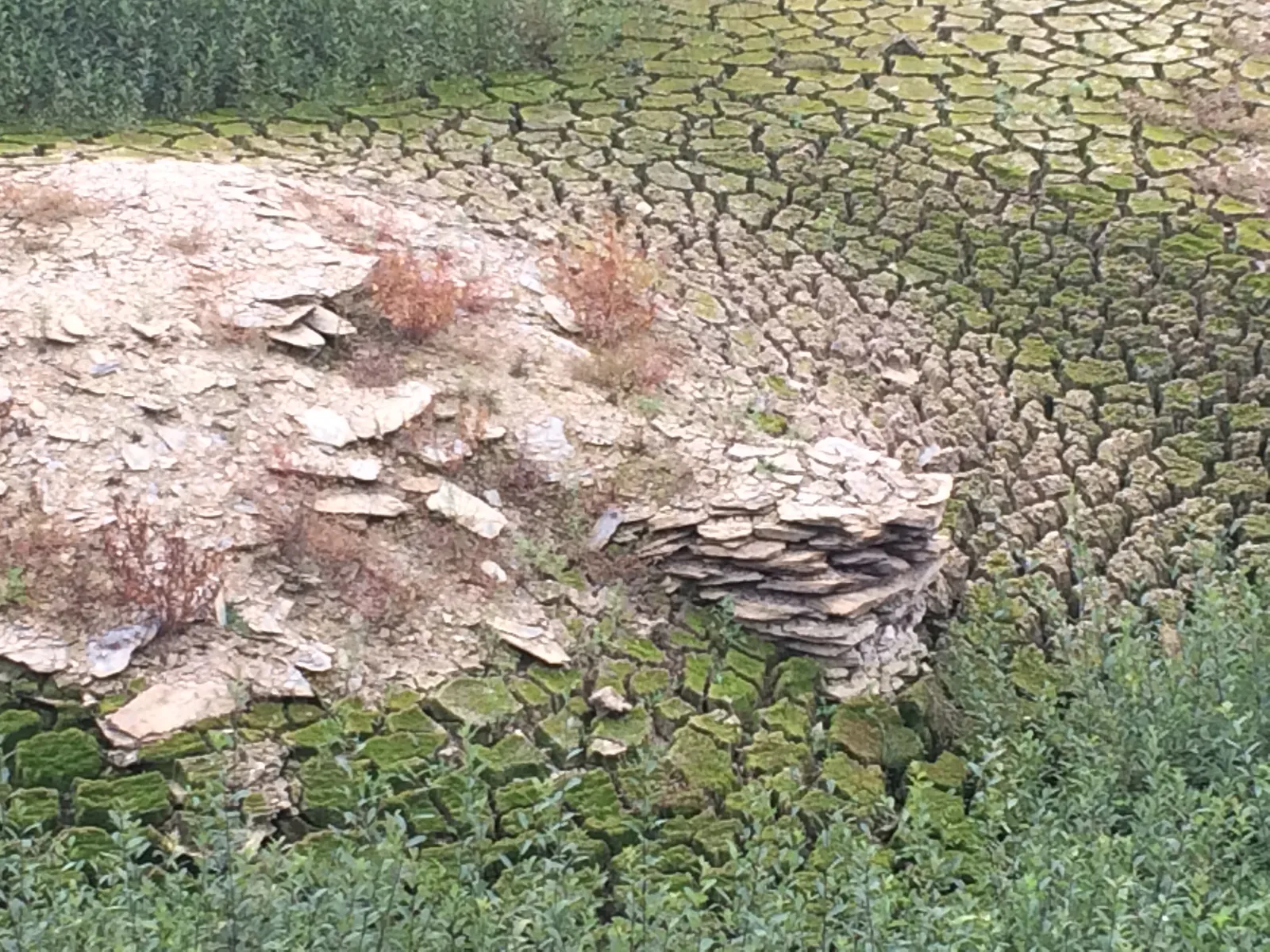 Осушённое дно озера