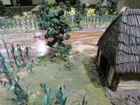 Diquís Village Reconstruction